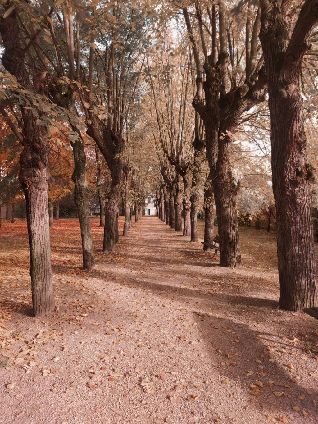 Picpus Cemetery: a silent witness of the French&nbsp;Revolution